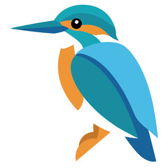 vector illustration of a cartoon bird