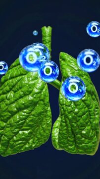 Molecular oxygen spheres interacting with stylized green lungs, representing respiratory process and atmospheric purity through scientific visualization
