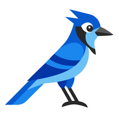 blue bird isolated on white background