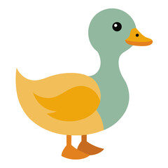 duck