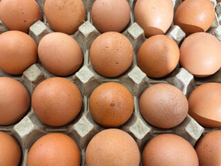 Fresh Brown Eggs Arranged Neatly in an Egg Carton Ready for Cooking or Baking in a Kitchen Setting