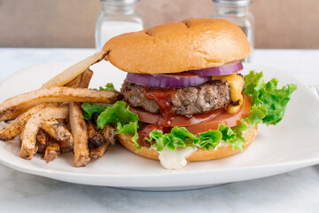 hamburger on a brioche bun served with fries