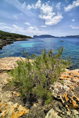 The sandy bay of Cala Bramassa, Punta Giglio, Porto Conte Capo Caccia Regional Park. Alghero, Sardinia. Italy