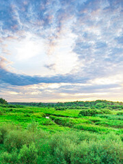 Obraz premium Field of green grass with a river running through it
