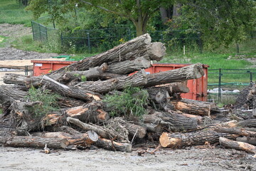 Background, wooden background and old fence