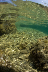 Rocky underwater seascape mediterranean  floor carved by waves  neptune seagrass (Posidonia oceanica) meadows af Porto Conte, Punta Giglio Capo Caccia, Cala Bramassa, Alghero, Sardinia Italy