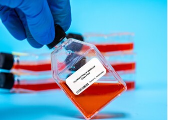 Pluripotency Marker Analysis Identifying and monitoring markers of pluripotency in stem cell...