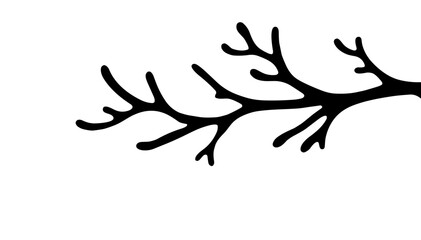 Elegant silhouette of plant branch in monochromatic design