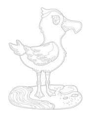 Seagull standing on the beach