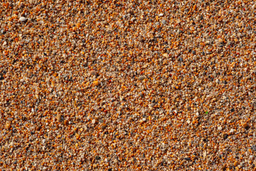 Beautiful Texture of Coarse Beach Sand. Beach-themed Background image. Wet beach sand of large fraction
