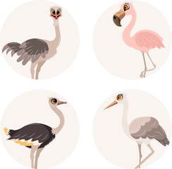 Cute zoo. Vector birds. Set of ostrich, flamingo, stork and heron. Vector animals collection. Children's flat vector illustrations.