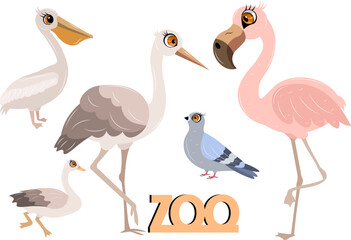 Cute zoo. Vector birds. Set of flamingo, stork, pelican, dove and goose. Vector animals collection. Children's flat vector illustrations.