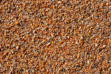 Beautiful texture of coarse beach sand. Beach-themed background image. Wet beach sand of large fraction