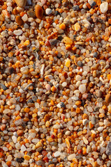 Beautiful texture of coarse beach sand. Beach-themed background image. Wet beach sand of large fraction