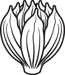 chicory vegetable line art, black outline, vector and illustration, coloring book page line art drawing