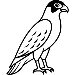 Fototapeta premium Stunning falcon vector graphic, perfect for logos, prints, and digital artwork.