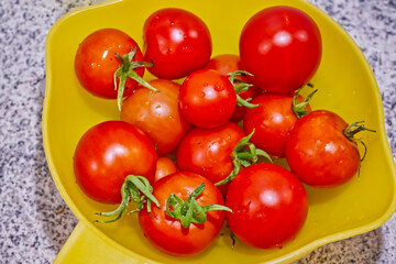 Fresh Ripe Tomatoes in Yellow Bowl