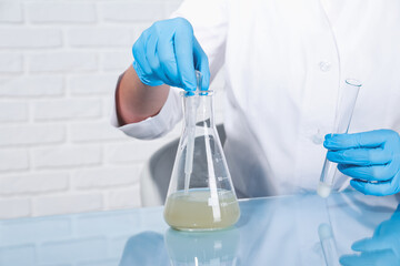 Laboratory testing. Scientist taking sample from flask at table indoors, closeup. Space for text