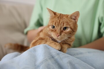 Woman with her cute ginger cat at home, closeup