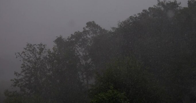 A severe storm on land. It's pouring rain and a strong wind is shaking the trees.