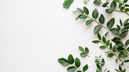 Obraz premium Green Plant Background of Passover: Unveiling the Veil of Vitality and Cultural Heritage Set Off by Green Plants in the Traditional Festival