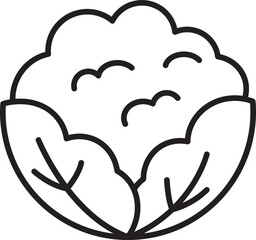 Cauliflower illustration with leaves line icon