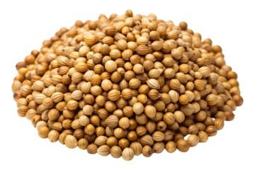 Golden coriander seeds: A close-up image of a pile of coriander seeds with the perfect lighting, the spherical shape and earthy tones hint at its culinary applications.