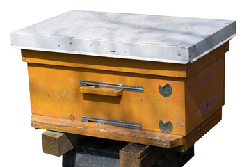 A row of bee hives in a private apiary in the garden. Honey industry.