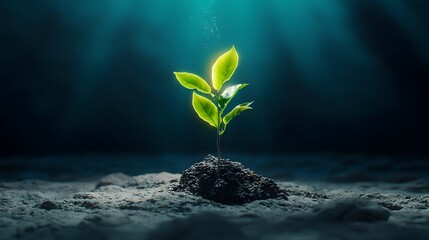 Innovative glowing underwater plant designed to thrive in marine environments producing oxygen to support aquatic life and ecosystems