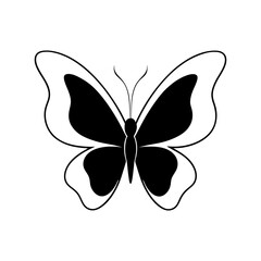 line drawing butterfly vector illustration 
