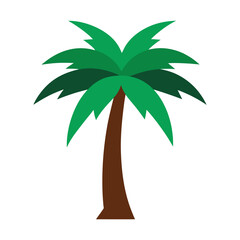 palm tree vector illustration