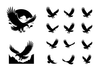 Eagles in Flight Against a Sky