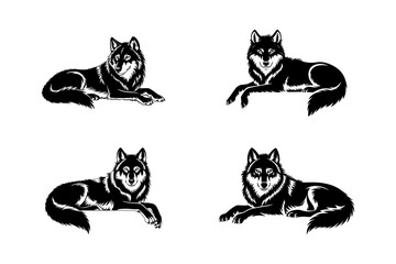 Four Wolves Lying Down