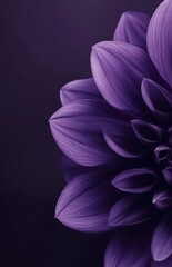 Close-up purple flower petals