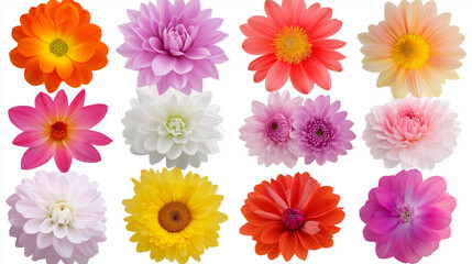 Bunte Tulpenarrangements in verschiedenen Farben für Frühlingsdekoration

