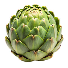 artichoke isolated on white background