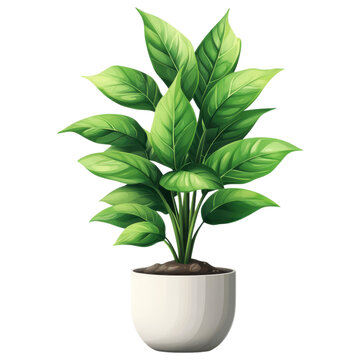 green potted plant on white background clip art preview