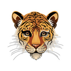 tiger head vector