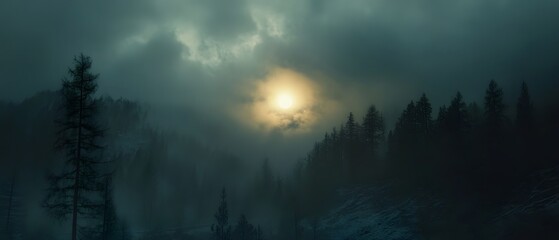 Dramatic and moody landscape scene with sunlight dramatically piercing through the ominous dark clouds in a remote misty and eerie forest setting