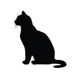 black cat silhouette
