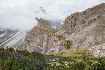 view of the Seceda area in the Italian Dolomites
