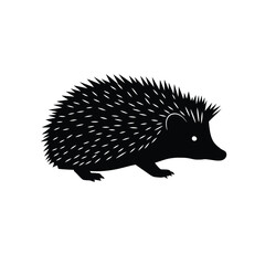 hedgehog on white background