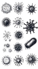 Virus types, detailed sketch, scientific illustration