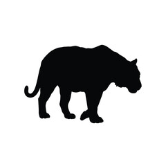 rhino vector illustration