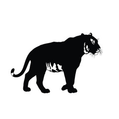 tiger vector illustration