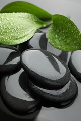 Spa stones and green leaves in water, closeup
