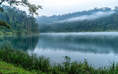 Fototapeta premium Tranquil lake surrounded by misty hills and lush greenery in the early morning light
