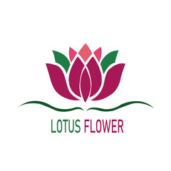 abstract flower logo lotus