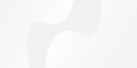 Wave white and gray background with gradient color and artistic dynamic line decoration simple abstract