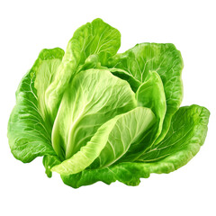 Obraz premium Fresh romaine lettuce isolated on transparent background.
